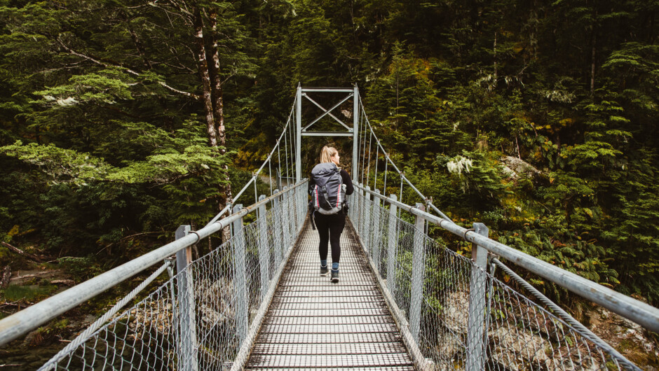 Walking over bride on Routeburn Track