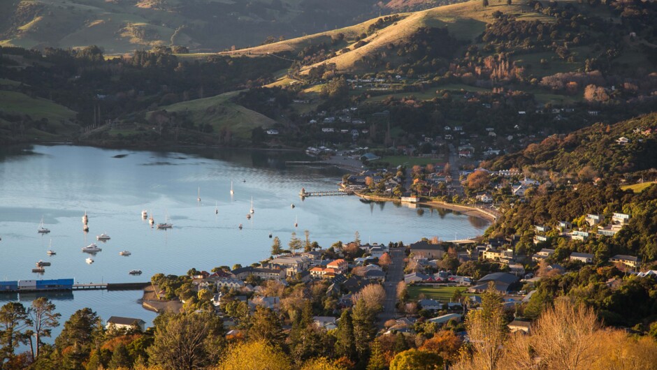 View overlooking Akaroa facing North