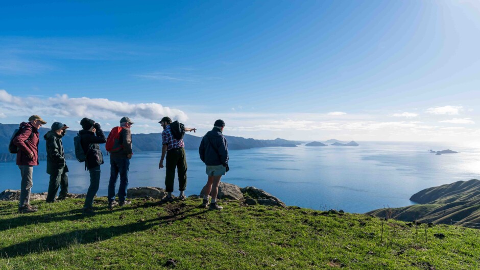 Admiring the expansive views from Port Ligar