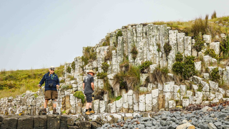 Exploring the Basalt Columns