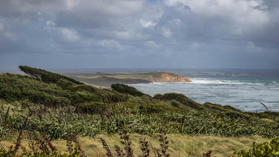 A windswept landscape