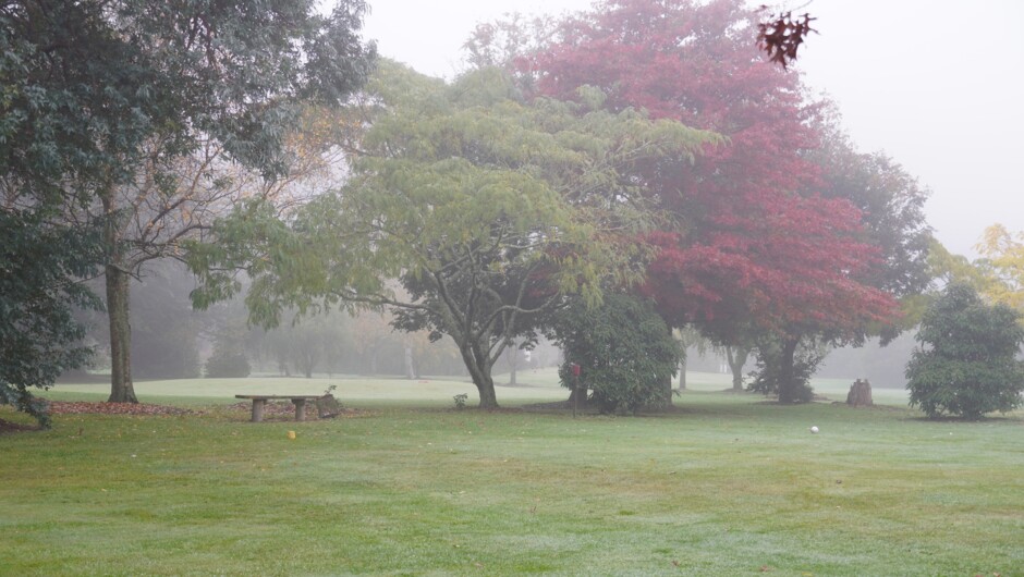 Mysterious in the autumn mist.