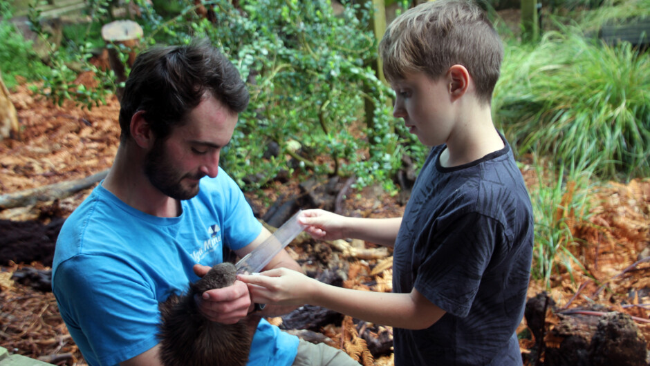 Go behind the scenes on a Ranger for the Day experience at Ngā Manu.