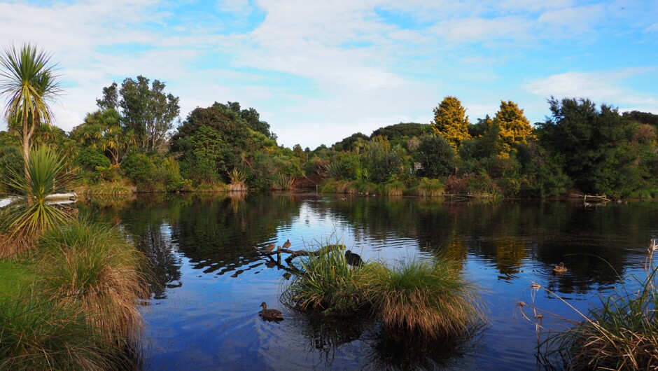 The wetland and ponds provide a haven for wildlife.