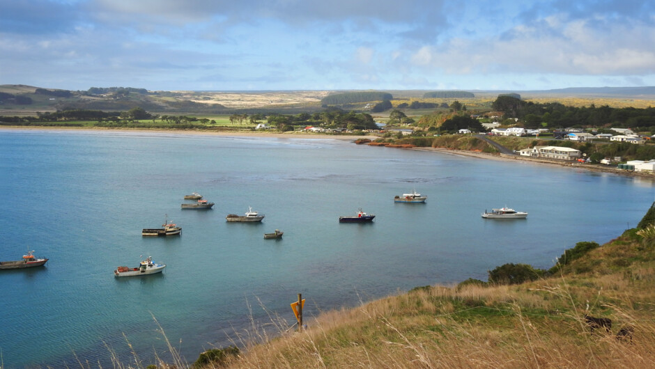 Over looking Waitangi Bay