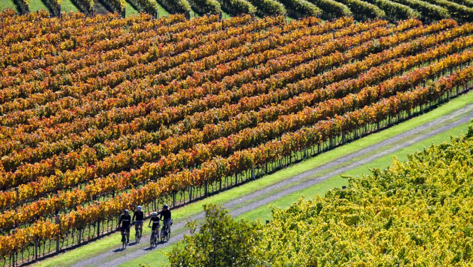 You are spoiled for choice with incredible vineyards