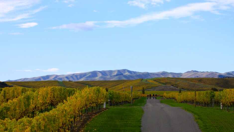 A wonderful and relaxing bike tour