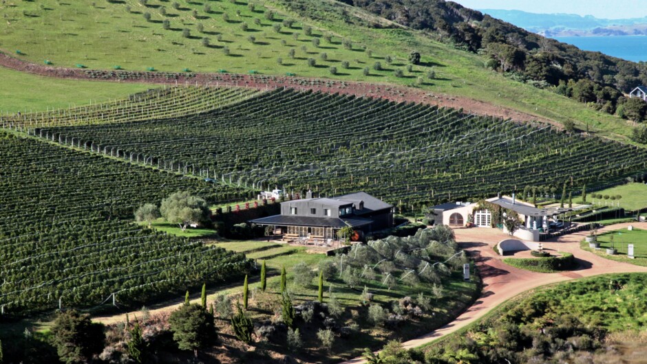 Visit vineyards, the owner chatting about family history of wine-making, his organic garden and relax over a long lunch tasting his prized wines.  The scenery on Waiheke Island is different around every corner.