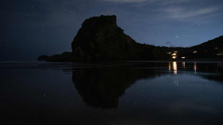 Watch alongside the iconic Te Piha "Lion Rock"