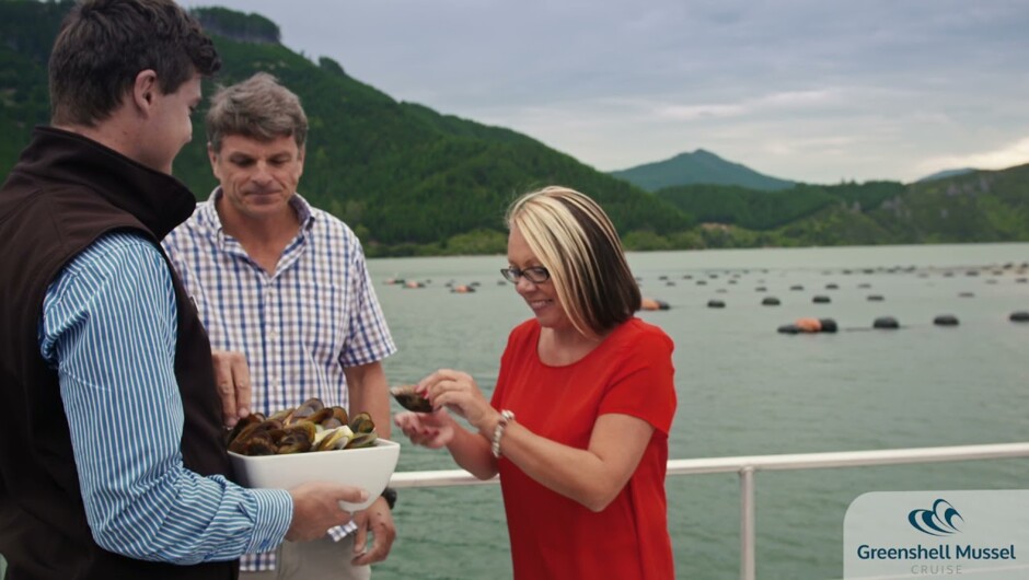 Greenshell Mussel Cruise | Marlborough Tour Company