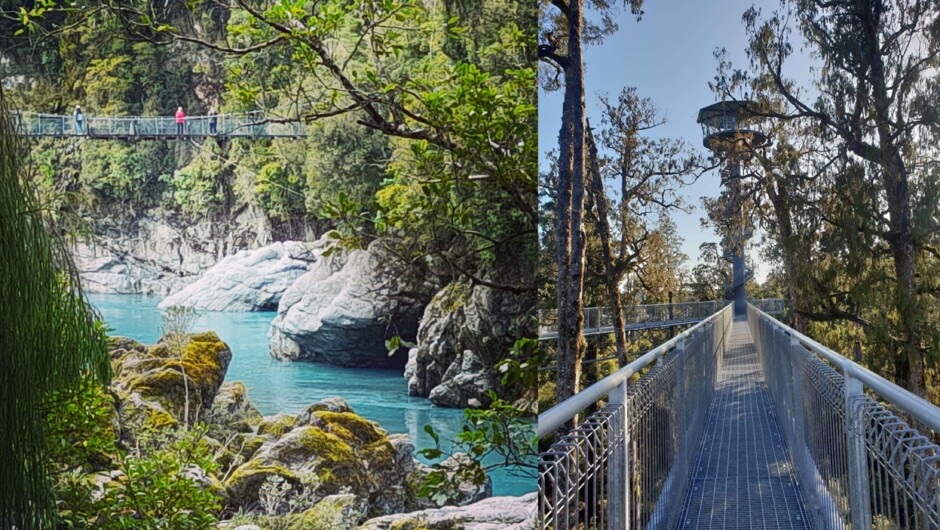 Hokitika Gorge & West Coast Treetop Walkway Tour