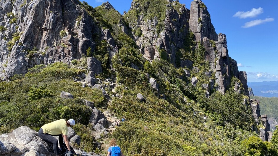 Tick off the big Coromandel hiking trails in 4 days.