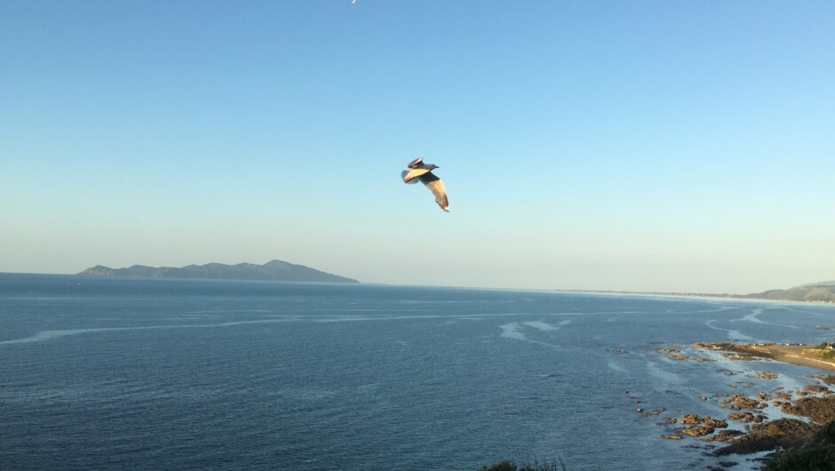 The view of the beautiful Kapiti Coast as we head north.