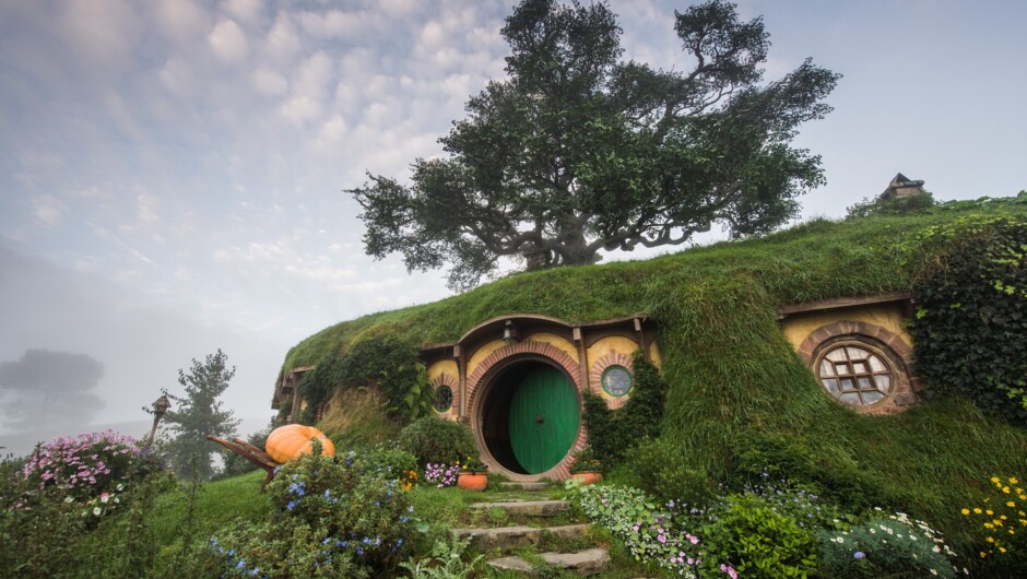 Hobbiton Movie Set Tour