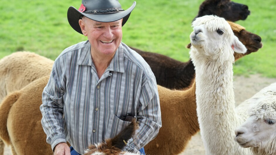 Enjoy your time with our friendly Alpaca, feeding and photos