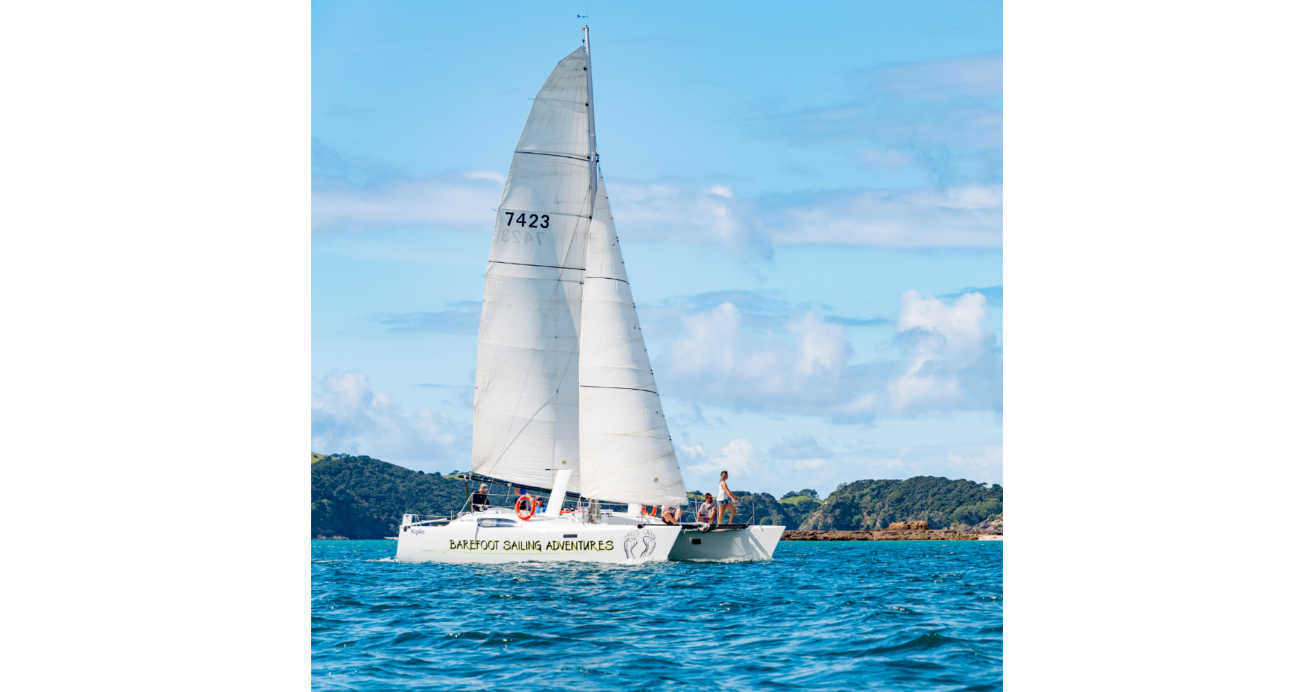 Island Hopper Sailing Cruise | Activity in Northland & Bay of Islands, New  Zealand