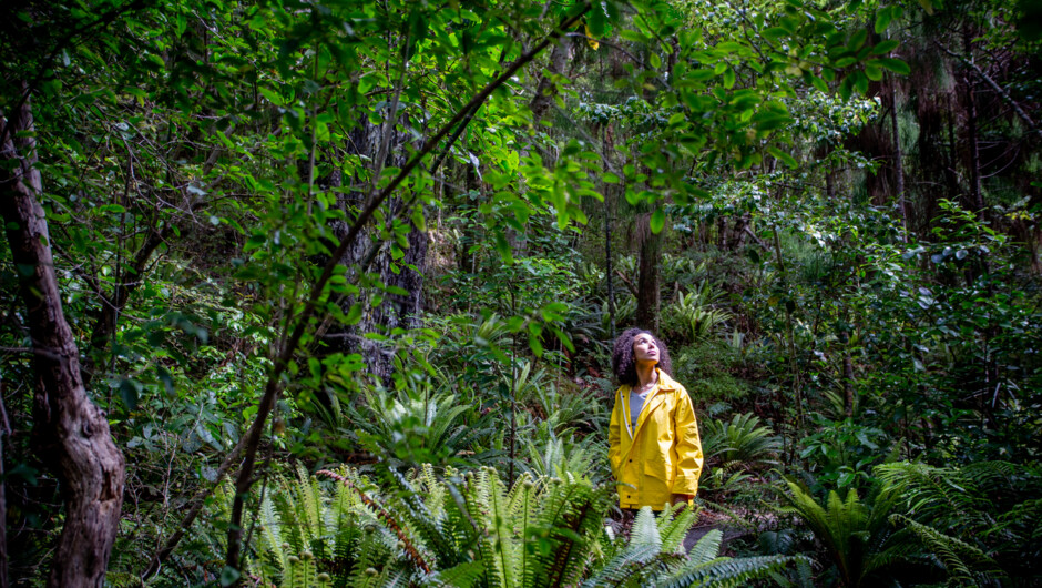 Ulva Island Explorer - Stewart Island