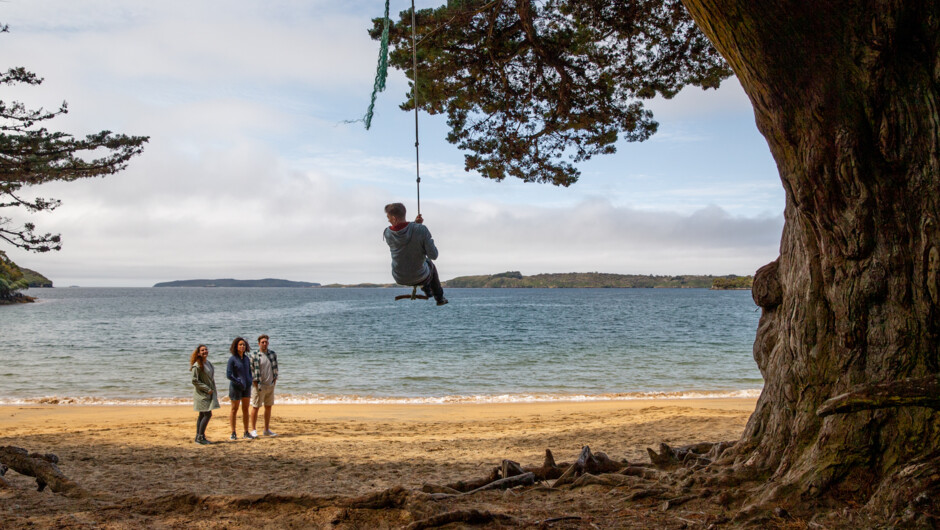 Stewart Island beaches