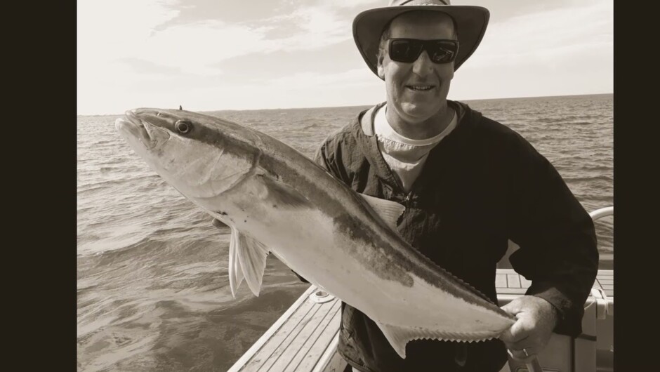 Wildcat Charters Golden Bay NZ