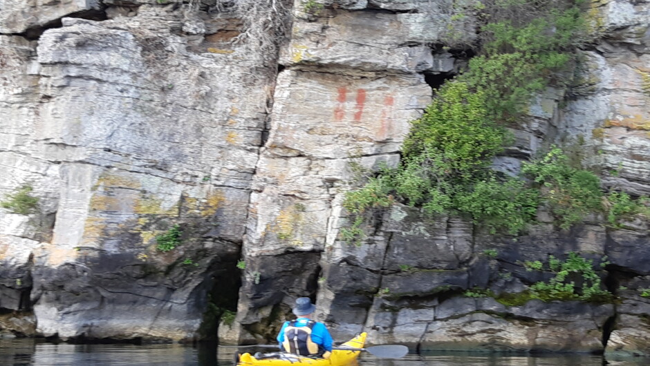 Kayaking through the Western Bays - Kawakawa Bay to Kinloch with Taupo Kayaking Adventures