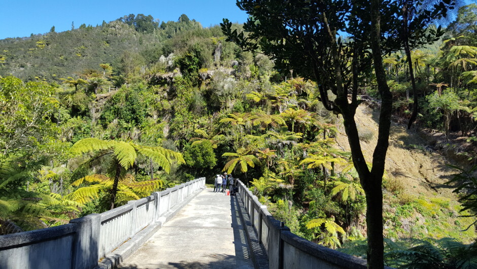 Whanganui River Adventures - Bridge to Nowhere