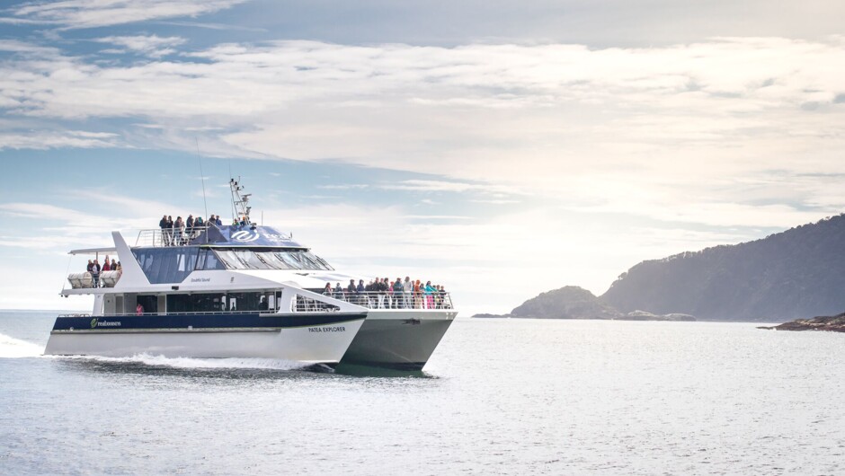 Real NZ cruise on Doubtful Sound