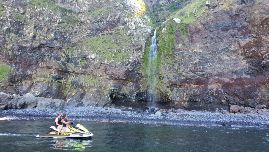 Waterfall at Nikau Palm Gully.