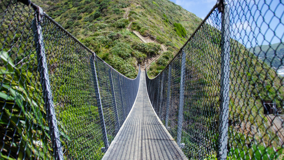 Bridge on Paekakariki Escarpment Track, Kapiti Coast