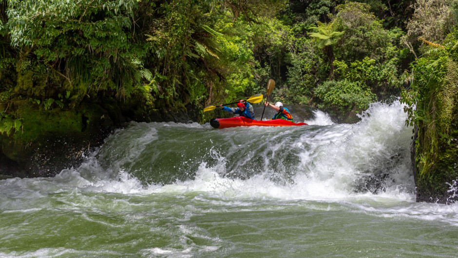 Looking back up at the first two waterfalls of the Kaituna river.