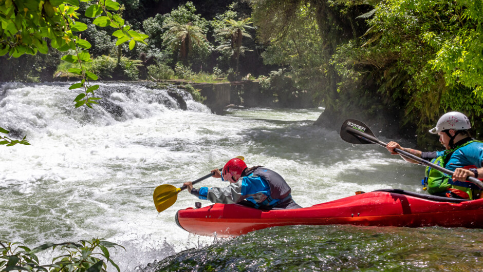 Dropping into the power house, the first waterfall of the Kaituna.