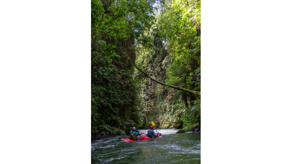 The beautiful gorges of the Kaituna river.