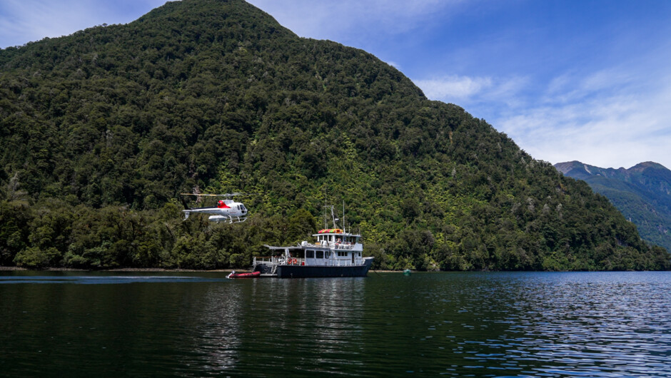 Start and finish your adventure with a scenic heli-flight over Fiordland National Park.