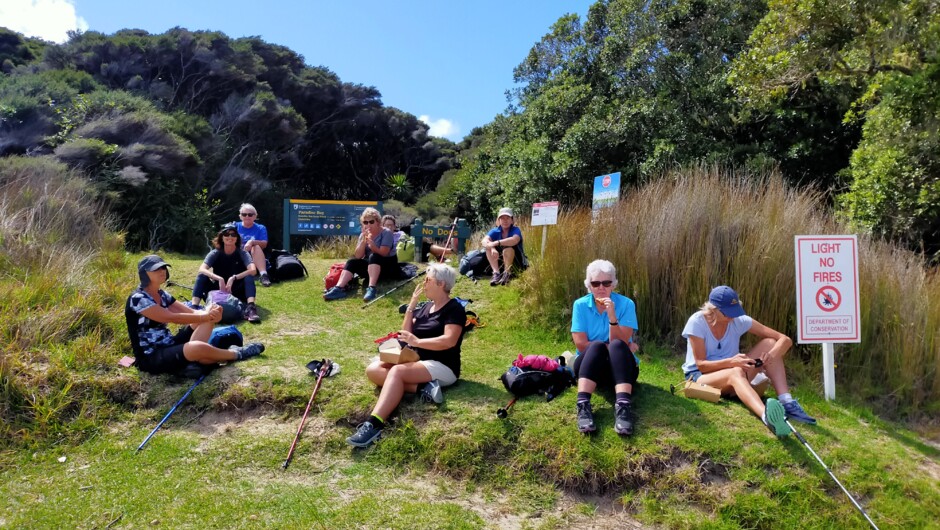 Group walking Rangihoua Heritage Park