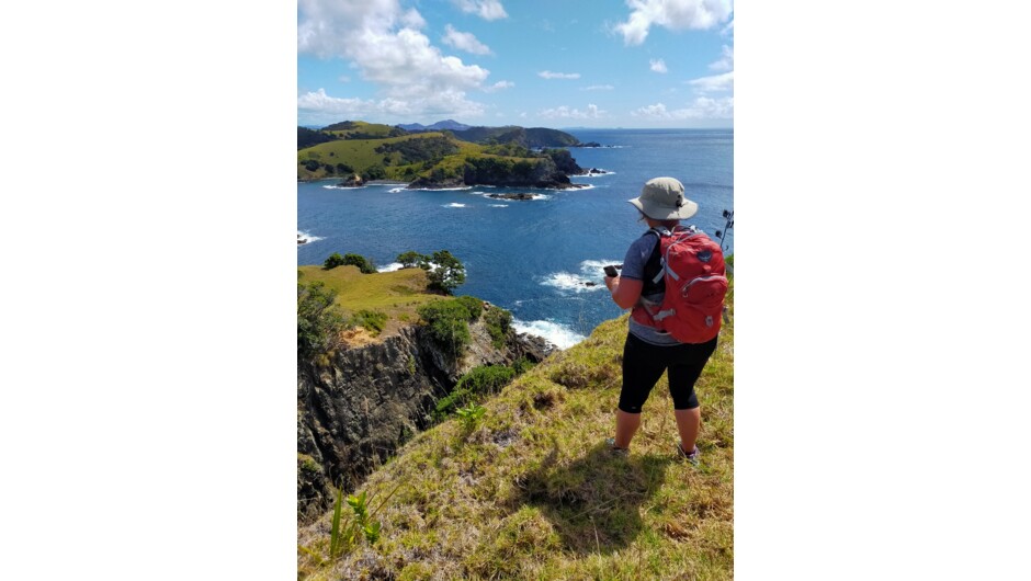 Walking Urupukapuka Islands