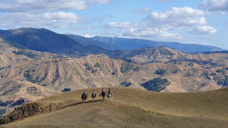 Ride to the top of Pukeokahu for some amazing views on a full day High Country Enchantment ride.