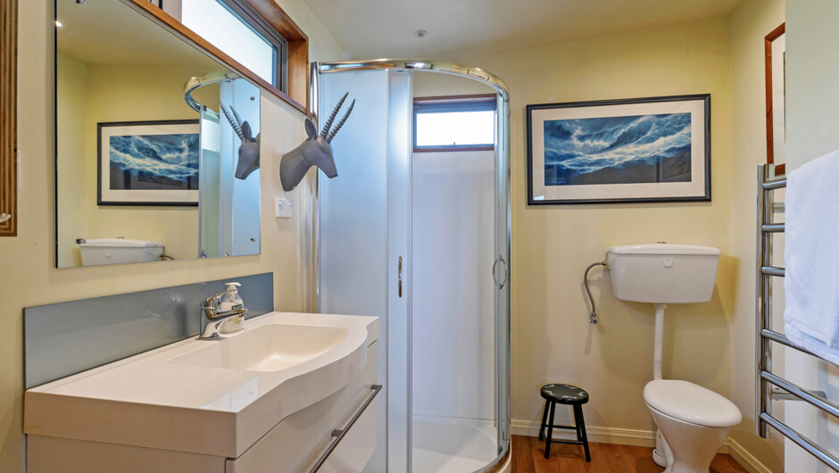 Bathroom with shower, toilet and vanity