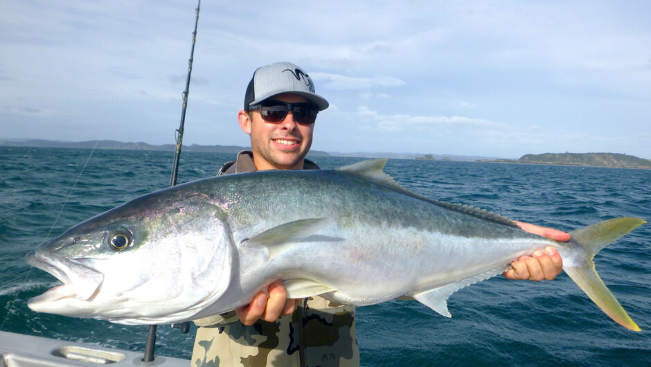 Bay of Islands Kingfish