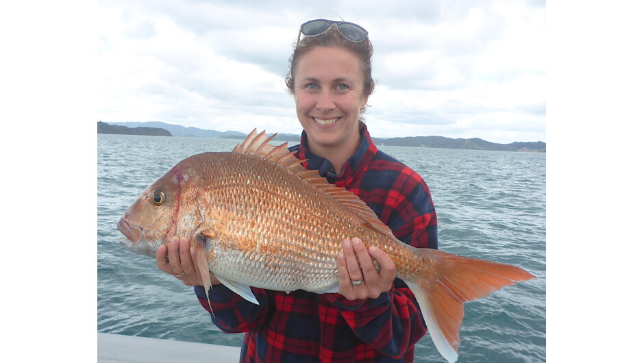 Bay of Islands Snapper