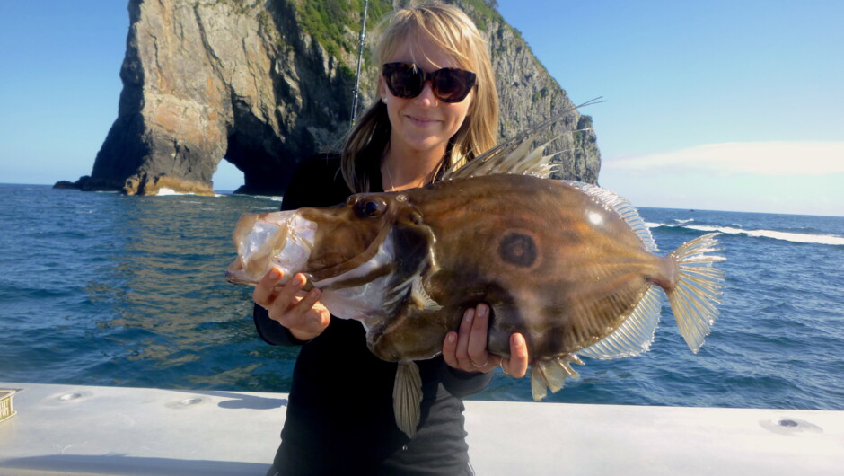 John Dory caught near Motu Kōkako ( Hole in the Rock)