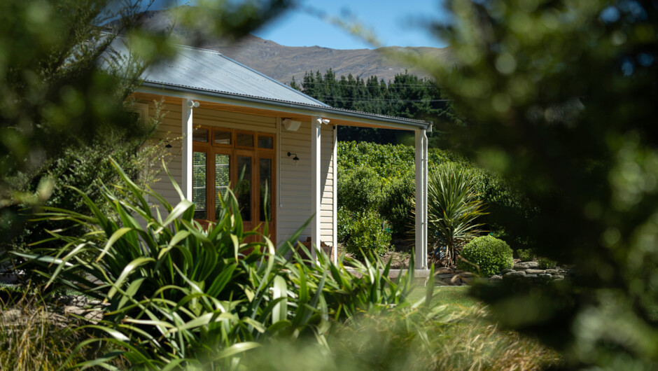 The Coxs' Vineyard Tasting Room is surrounded by native NZ planting and is next to the vineyard.