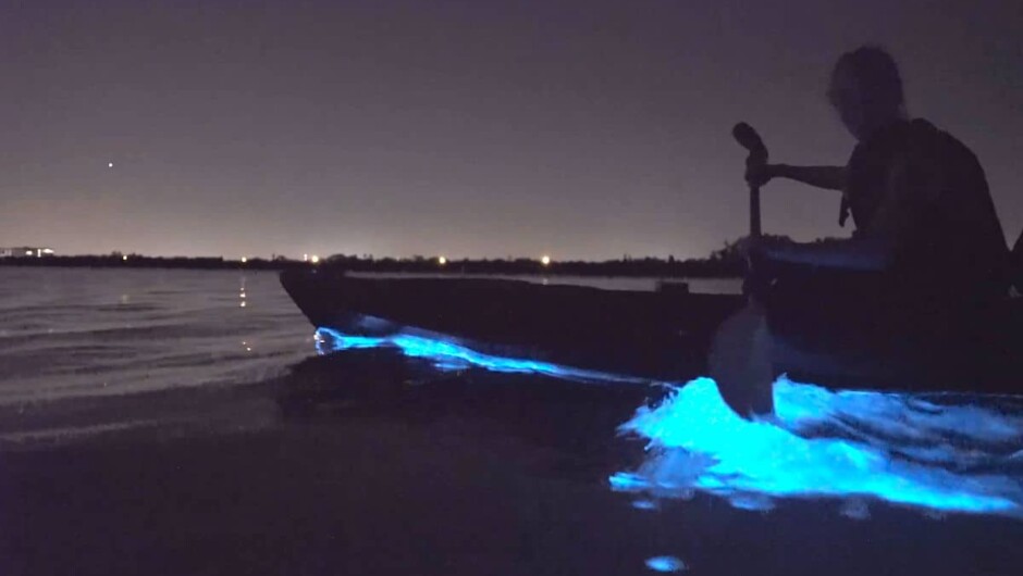 Bioluminescent Kayak Tour