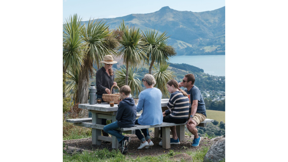 Home made morning tea with an amazing hilltop view, part of our pleasure of hosting you with Manakitanga - hospitality.