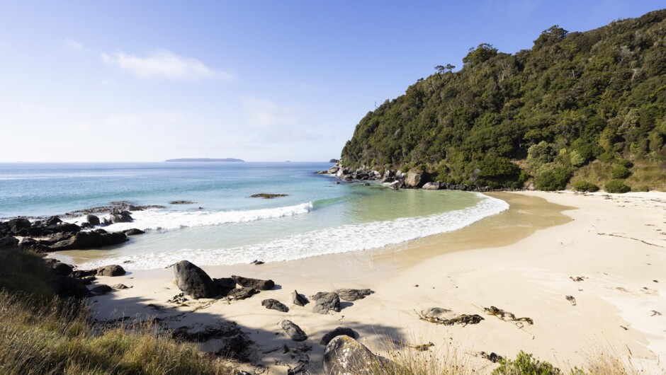 Stewart Island beaches