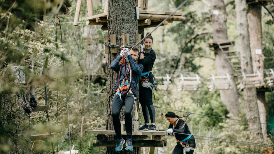 Everyone's favourite activity - The Flying Foxes