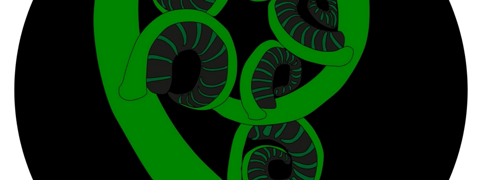 Koru Logo PNG.png