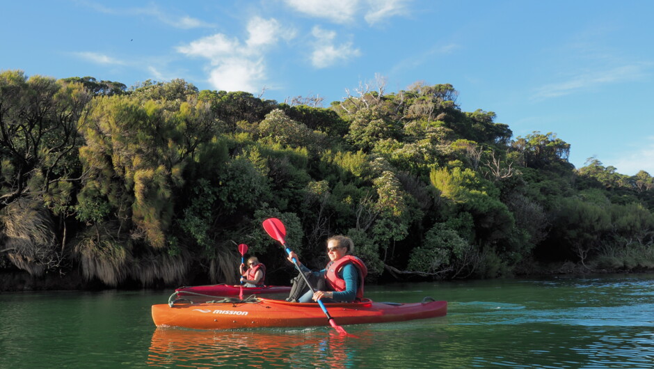 All the toys are provided. Including kayaks, fishing rods and tackle, dive cylinders, BCDs and weights, fins, masks, snorkels, 7mm wetsuits, spearfishing floats and 20m float lines, paddle boards, and of course a hot tub on the top deck.