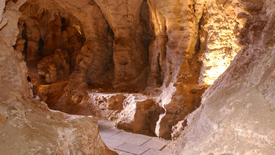 Waitomo Caves