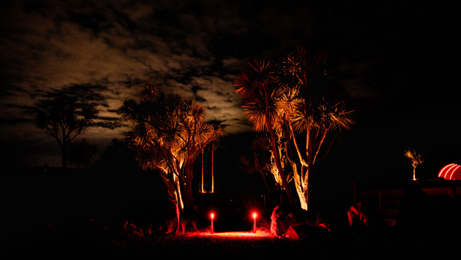 Cabbage Tree walkway