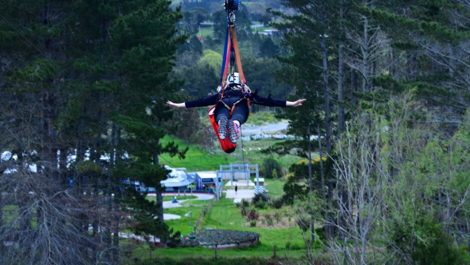 "Dual Zipline"