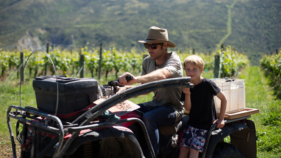 Coxs Vineyard is 2nd generation family business.